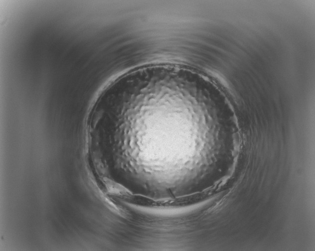 X0000071361371200606301707
