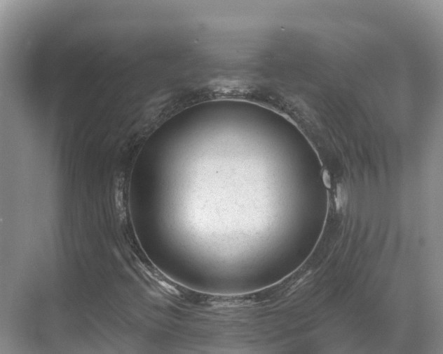 X0000071361396200606301706