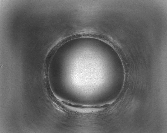 X0000071361400200606301706