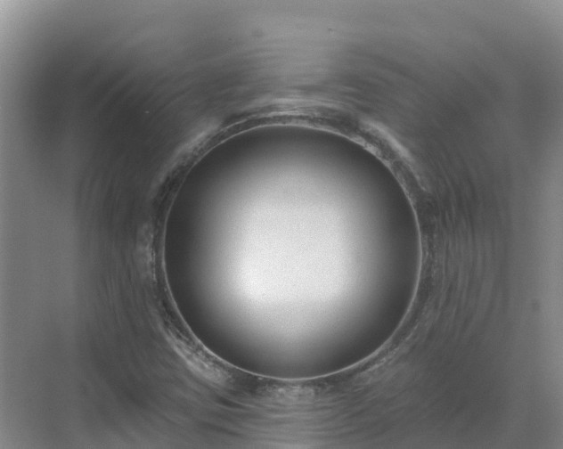 X0000071361403200606301706