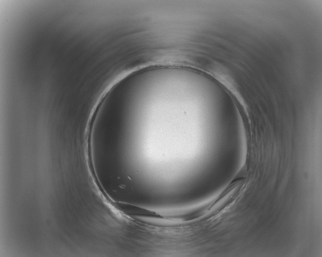 X0000071361437200606301707