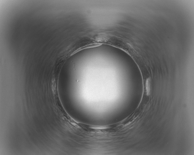 X0000071361443200606301706