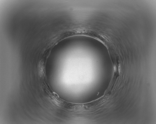 X0000071361444200606301706
