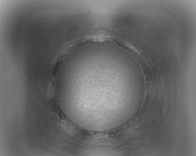 X0000071361446200606301706