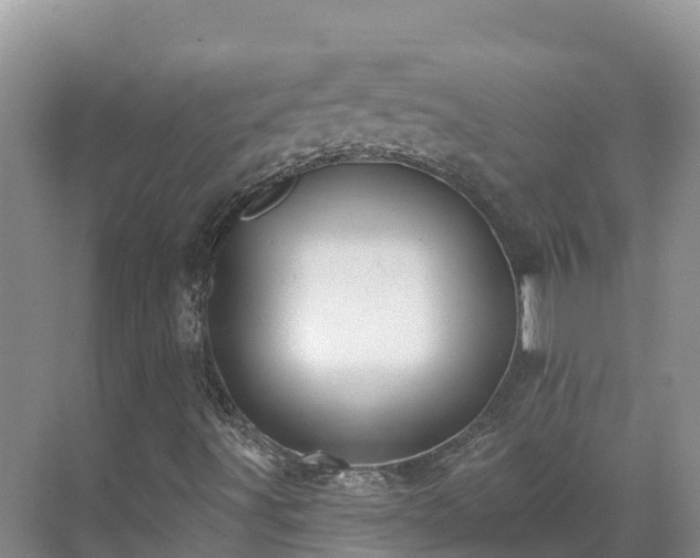 X0000071361491200606301704