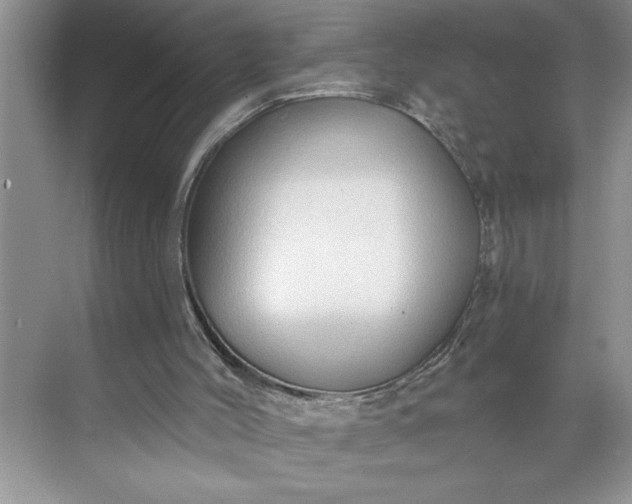 X0000071360004200607071802