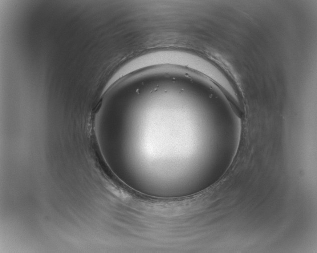 X0000071360017200607071801