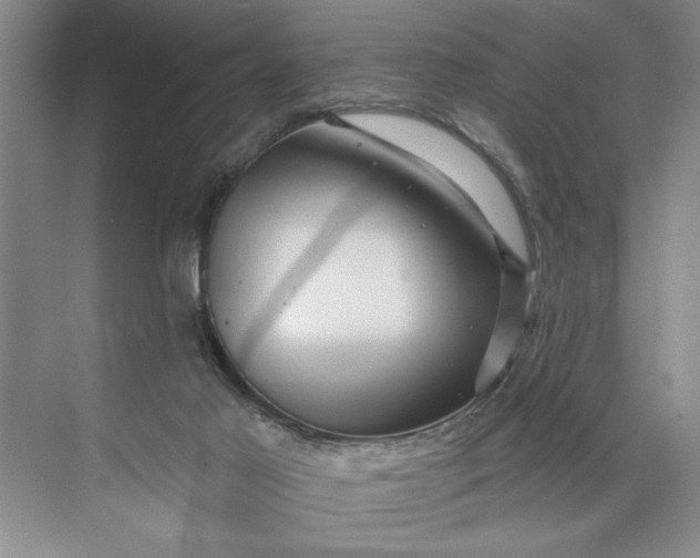 X0000071360021200607071801