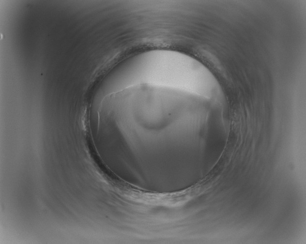 X0000071360023200607071801