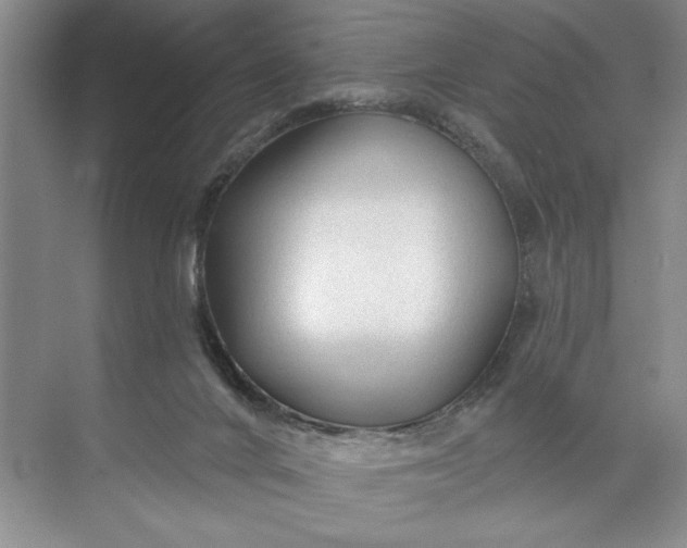 X0000071360024200607071801