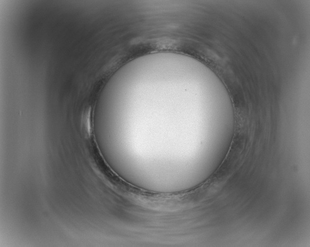X0000071360028200607071801