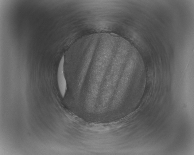 X0000071360029200607071801