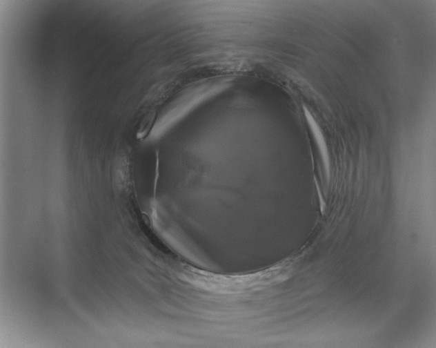 X0000071360035200607071801