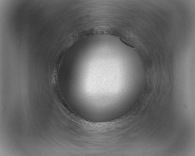 X0000071360038200607071801