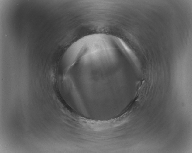 X0000071360039200607071801