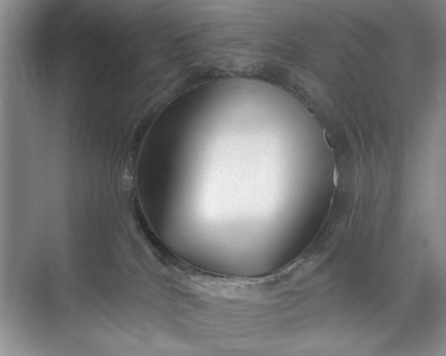 X0000071360040200607071801