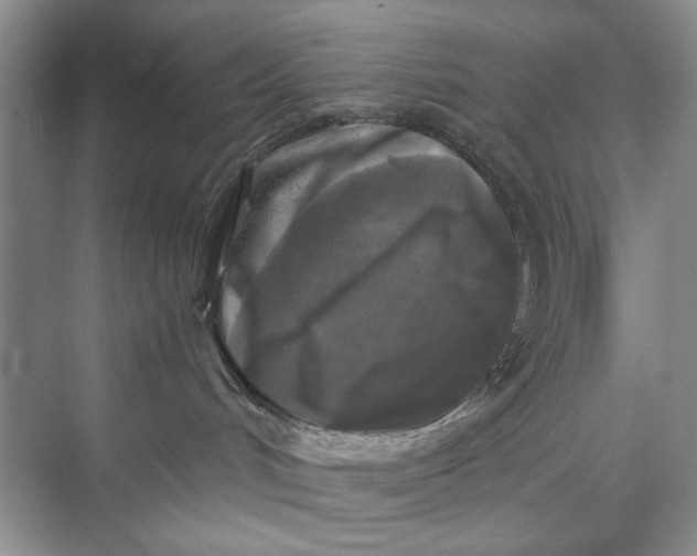 X0000071360048200607071801