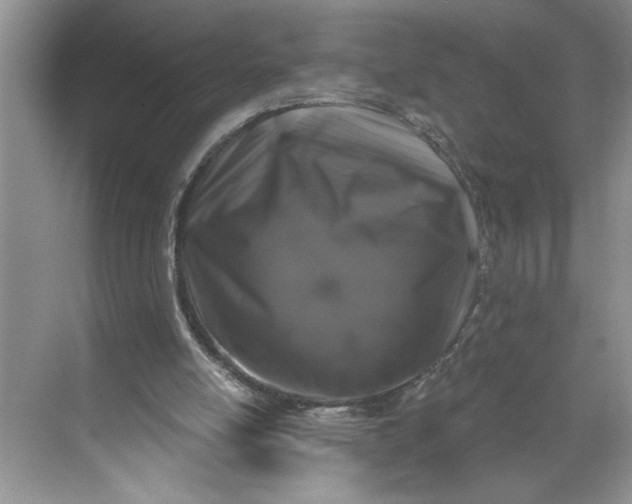 X0000071360054200607071800