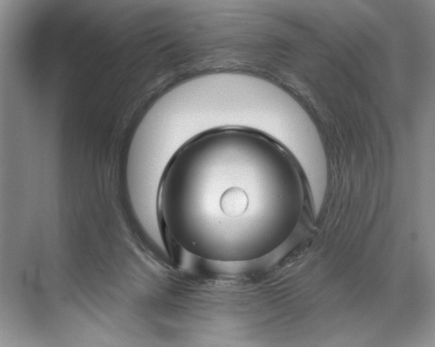X0000071360072200607071801