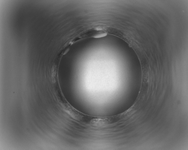 X0000071360082200607071801
