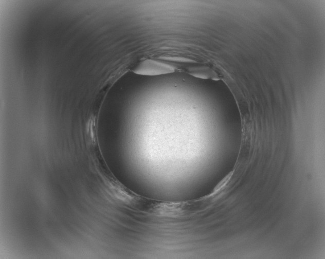 X0000071360094200607071801