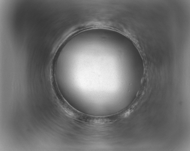 X0000071360103200607071800
