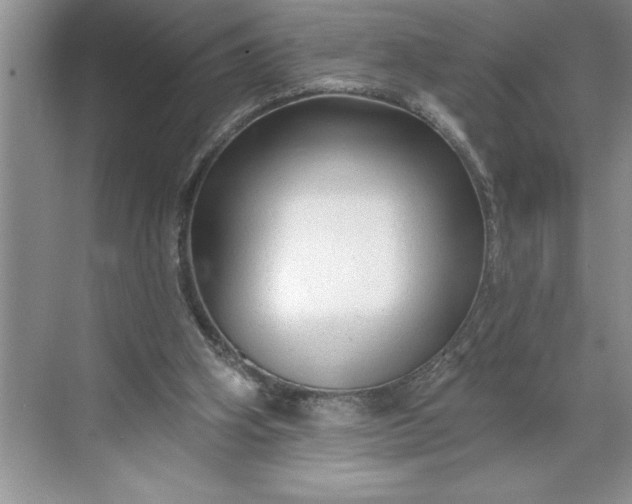 X0000071360106200607071800