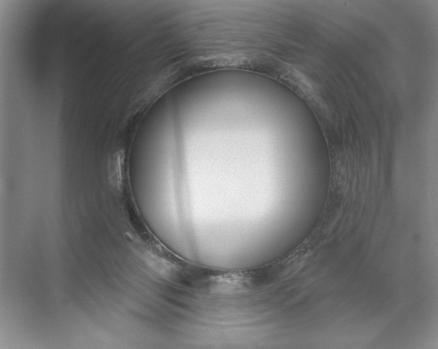 X0000071360118200607071800