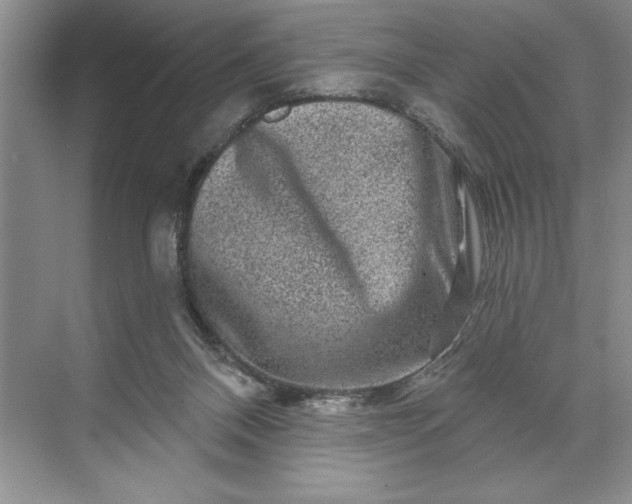 X0000071360120200607071800