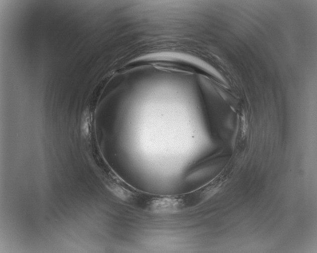 X0000071360125200607071800