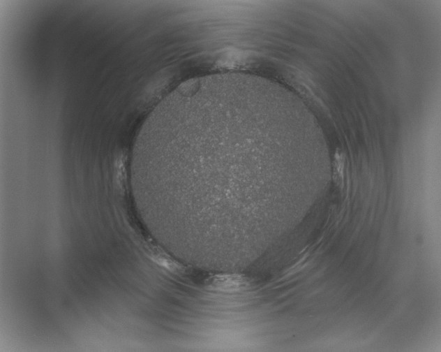 X0000071360127200607071800