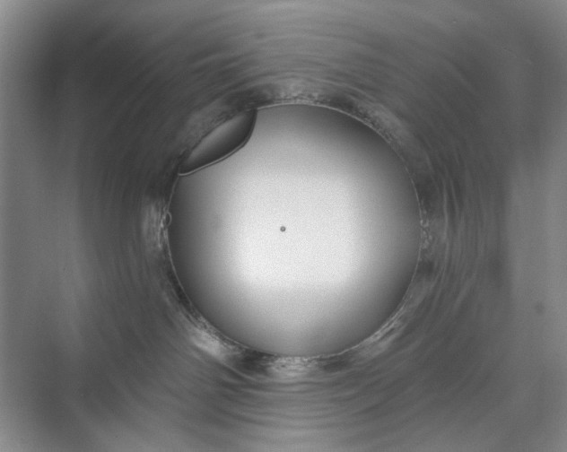 X0000071360142200607071759
