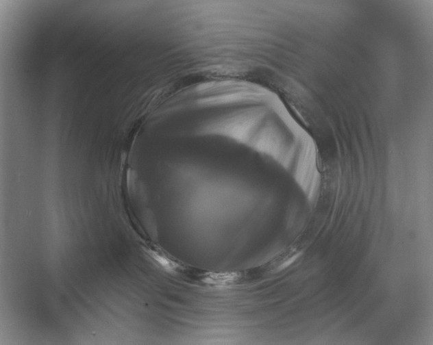 X0000071360143200607071759
