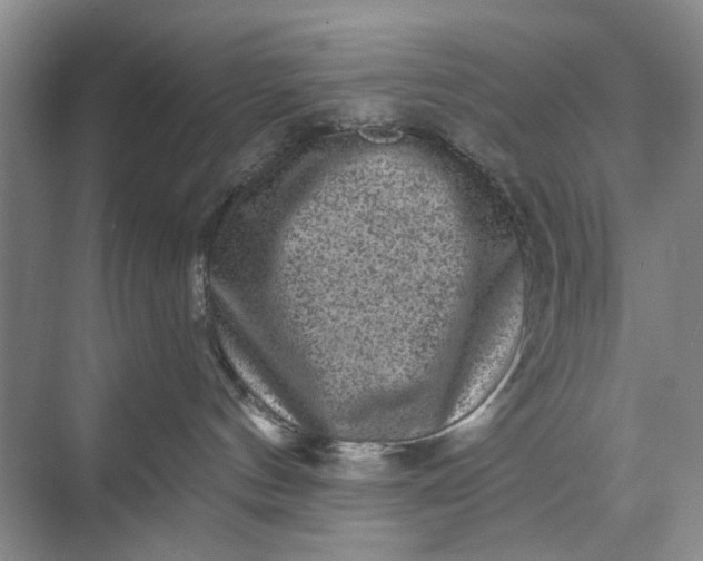X0000071360144200607071759