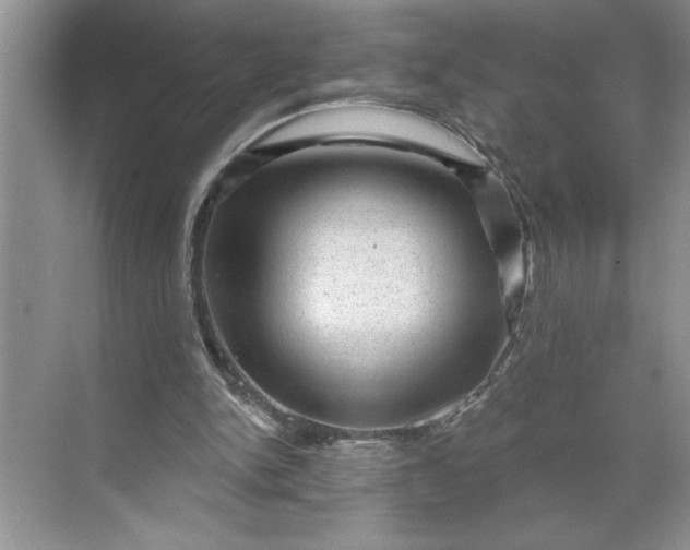 X0000071360150200607071759