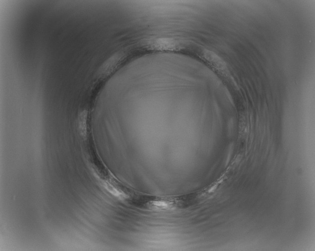 X0000071360167200607071759