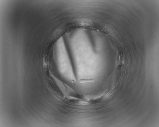 X0000071360176200607071759