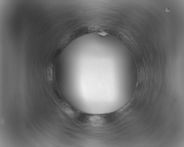 X0000071360183200607071759