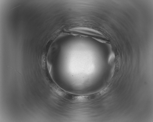 X0000071360184200607071759