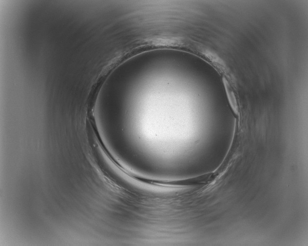 X0000071360201200607071758