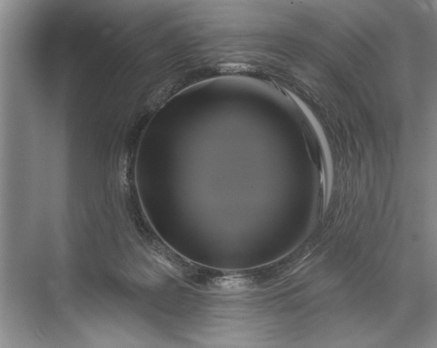 X0000071360219200607071758
