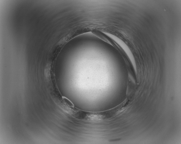 X0000071360221200607071758