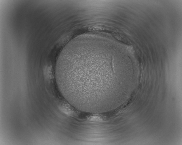 X0000071360224200607071758
