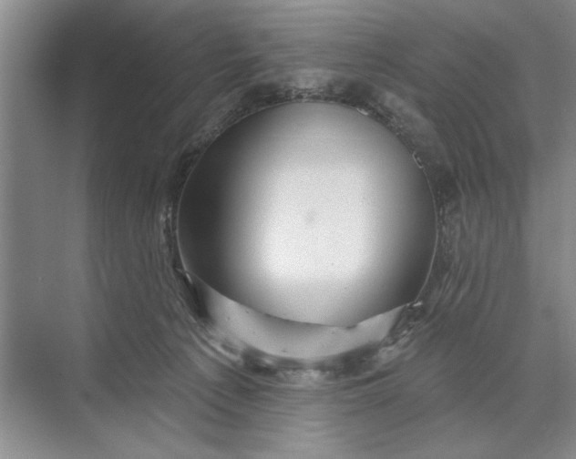 X0000071360225200607071758