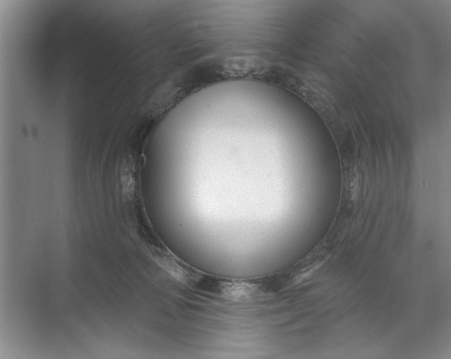 X0000071360226200607071758