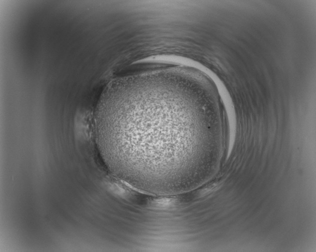 X0000071360237200607071758
