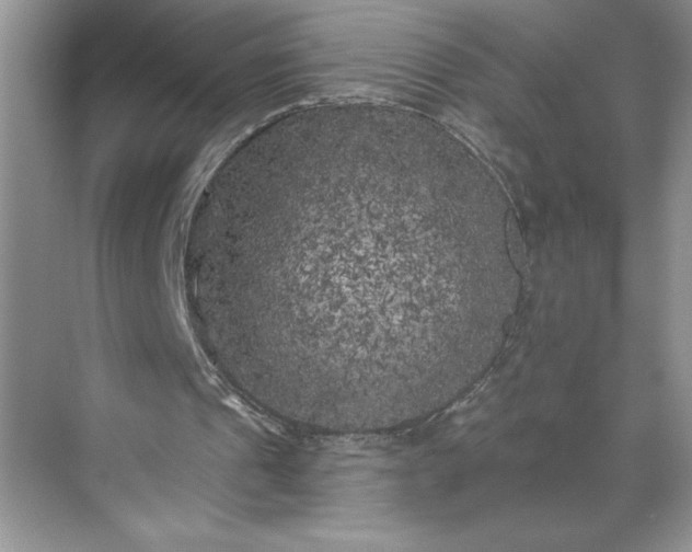 X0000071360241200607071757
