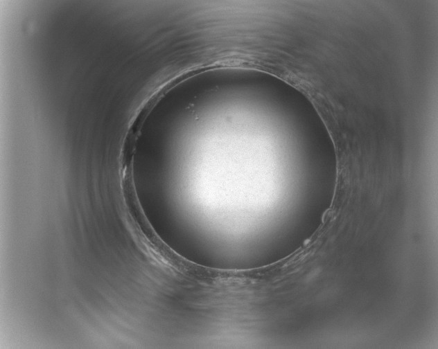 X0000071360242200607071757