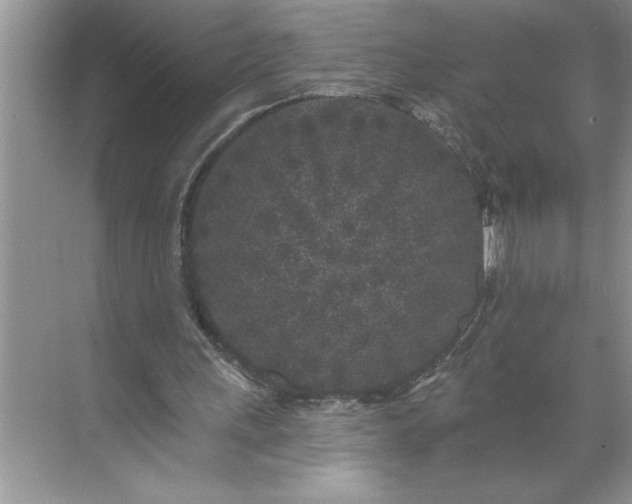 X0000071360243200607071757