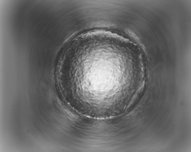 X0000071360249200607071757